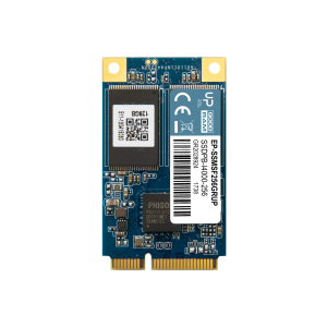 mSATA 256GB SATA III
